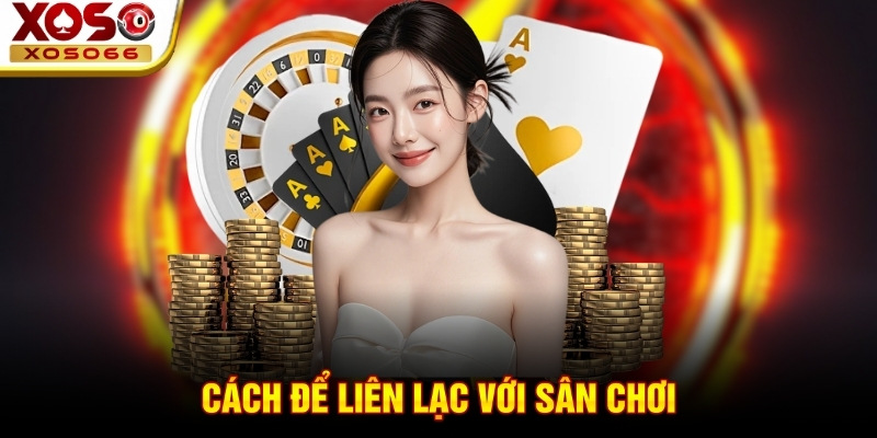 Cách để liên lạc với sân chơi