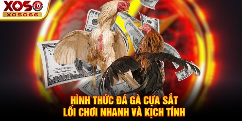 Hình thức đá gà cựa sắt - Lối chơi nhanh và kịch tính