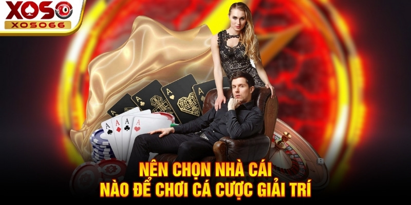 Nên chọn nhà cái nào để chơi cá cược giải trí!