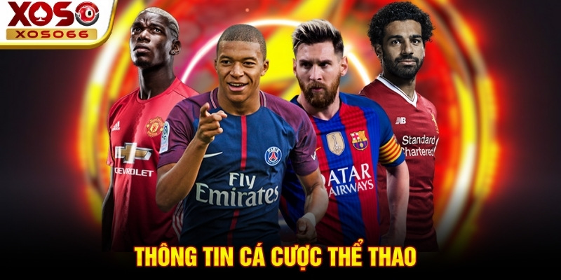Thông tin cá cược thể thao