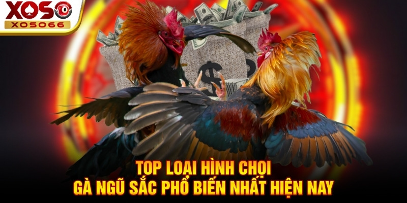 Top loại hình chọi gà ngũ sắc phổ biến nhất hiện nay