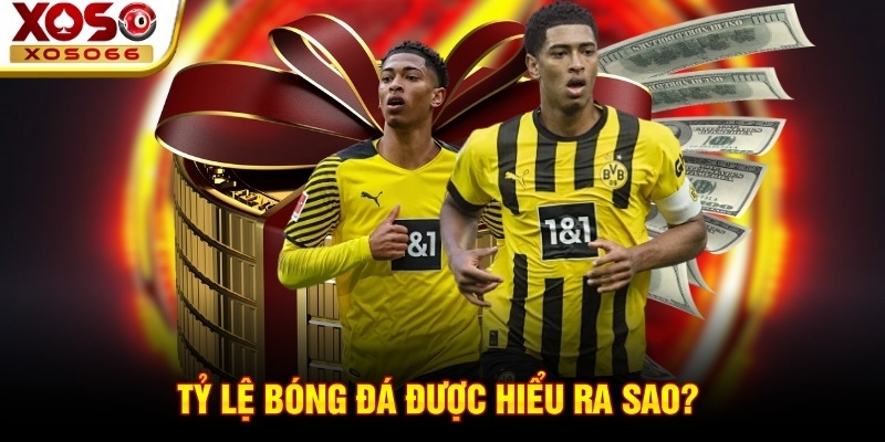 Tỷ lệ bóng đá được hiểu ra sao? 